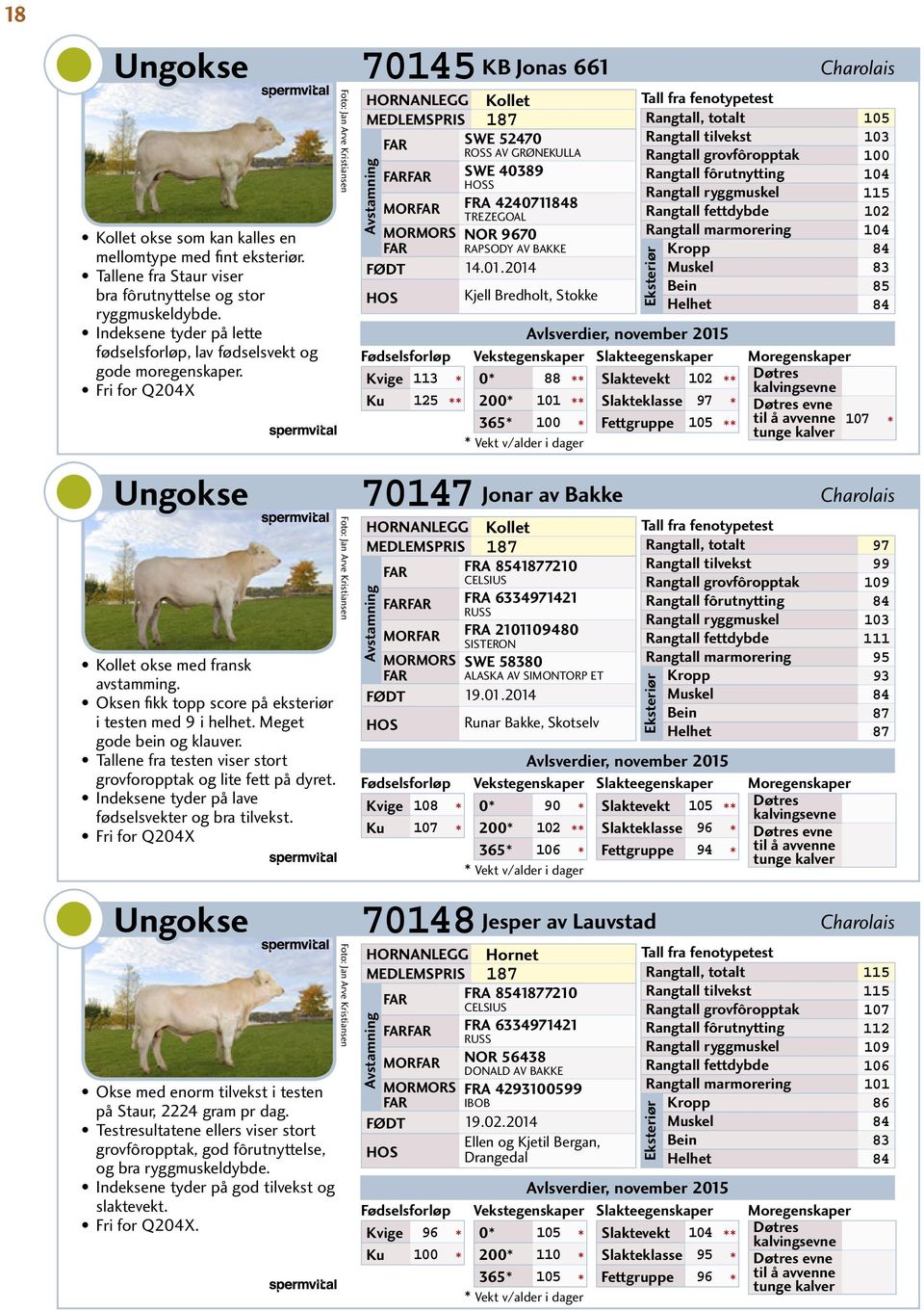 Meget gode bein og klauver. Tallene fra testen viser stort grovforopptak og lite fett på dyret. Indeksene tyder på e fødselsvekter og bra tilvekst.