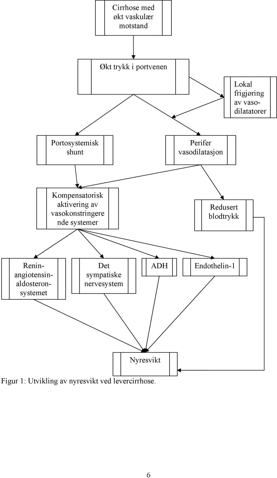 vasokonstringere nde systemer Redusert blodtrykk Reninangiotensinaldosteronsystemet Det