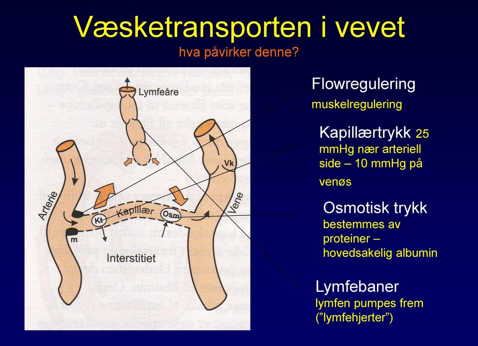 arteriell side 10 mmhg på venøs Osmotisk trykk bestemmes av