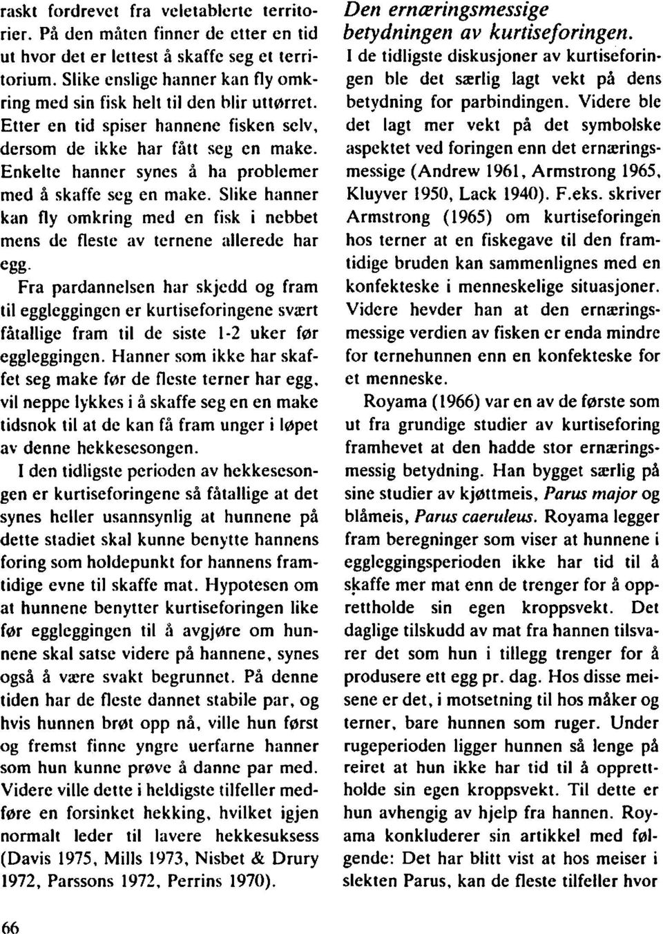 Enkelte hanner synes å ha problemer med å skaffe seg en make. Slike hanner kan fly omkring med en fisk i nebbet mens de fleste av ternene illlerede har egg.