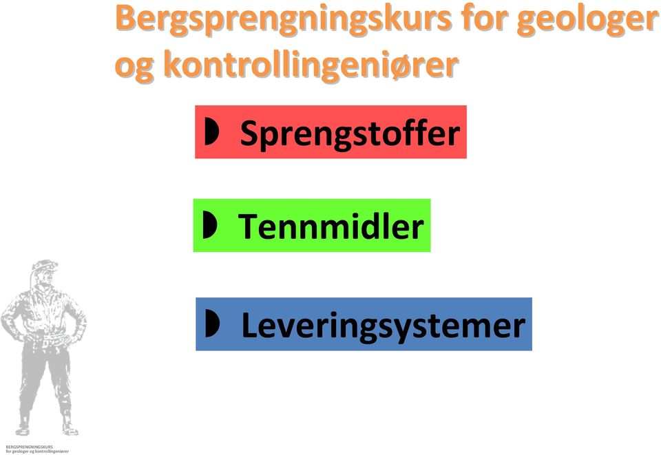 kontrollingeniører rer