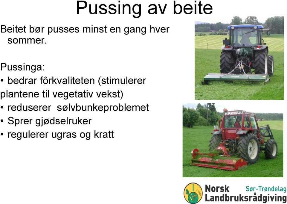 Pussinga: bedrar fôrkvaliteten (stimulerer plantene