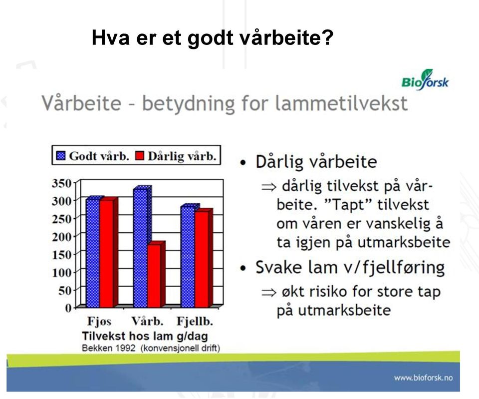 vårbeite?