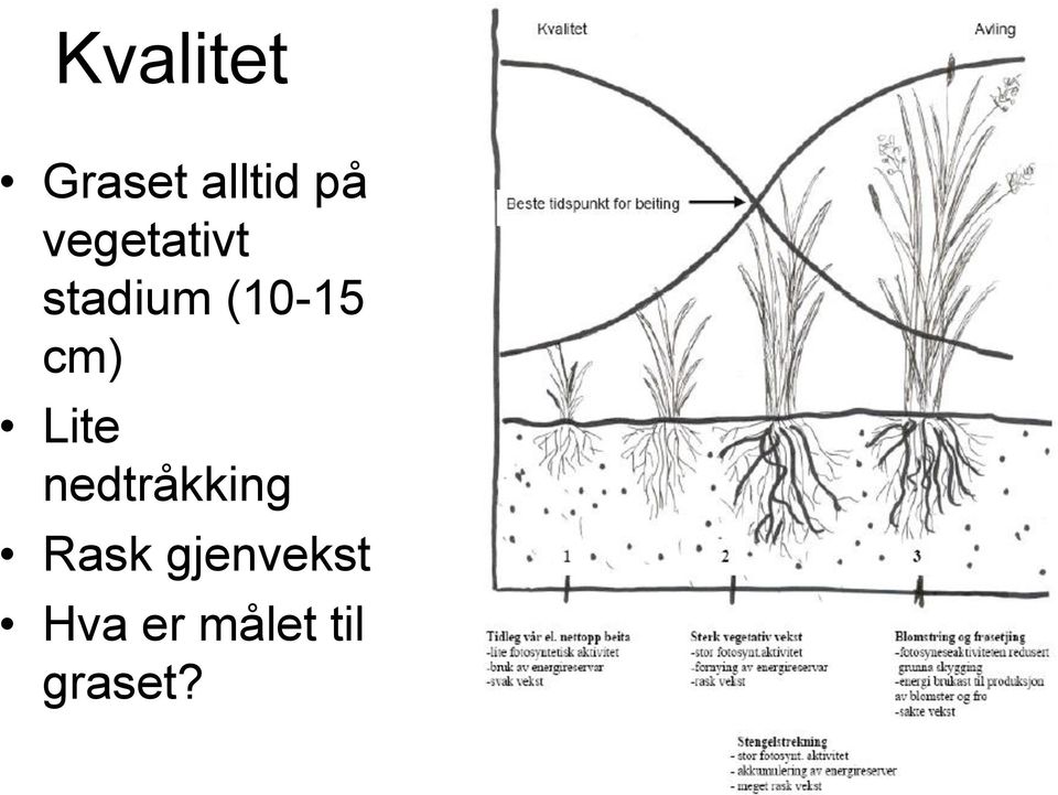 cm) Lite nedtråkking Rask