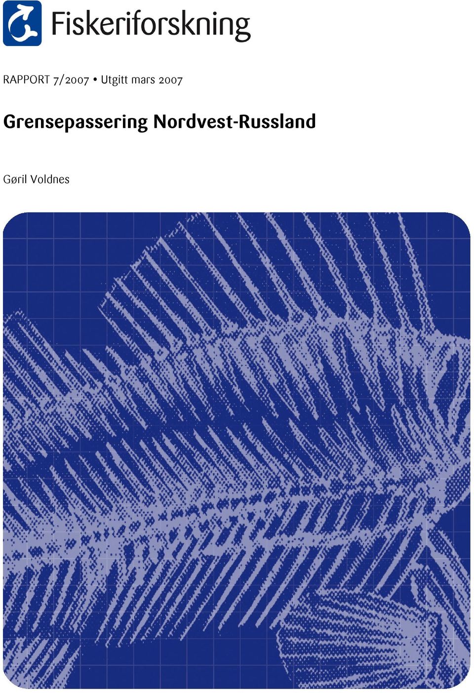 Grensepassering