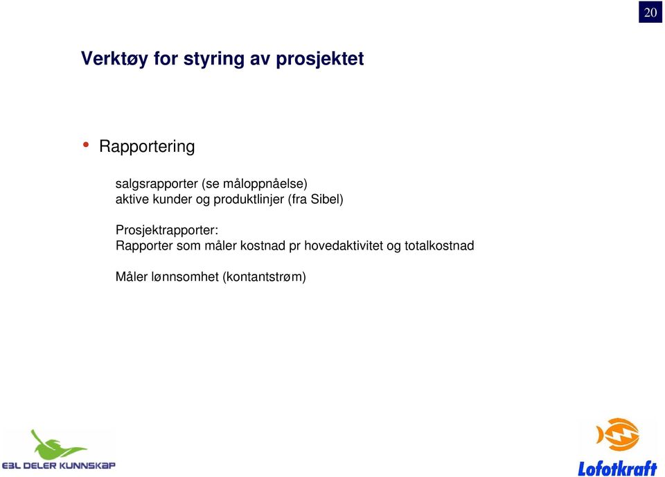 produktlinjer (fra Sibel) Prosjektrapporter: Rapporter som