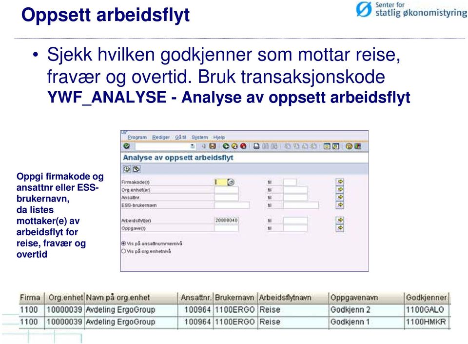 Bruk transaksjonskode YWF_ANALYSE - Analyse av oppsett