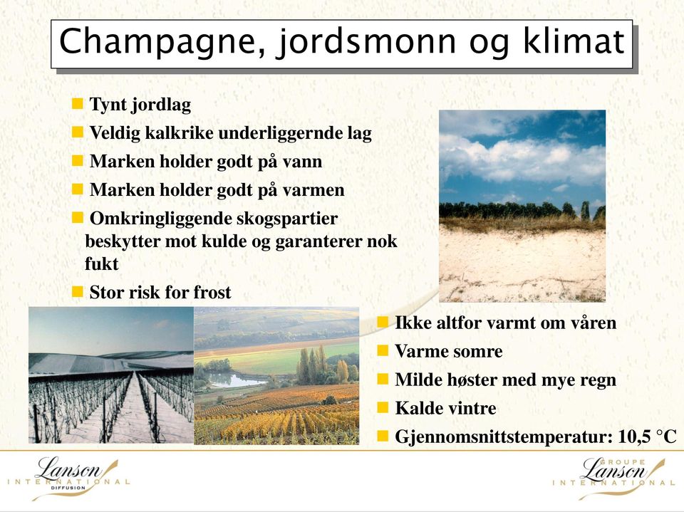 skogspartier beskytter mot kulde og garanterer nok fukt Stor risk for frost Ikke