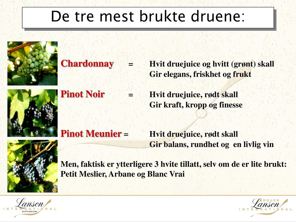 Pinot Meunier = Hvit druejuice, rødt skall Gir balans, rundhet og en livlig vin Men,