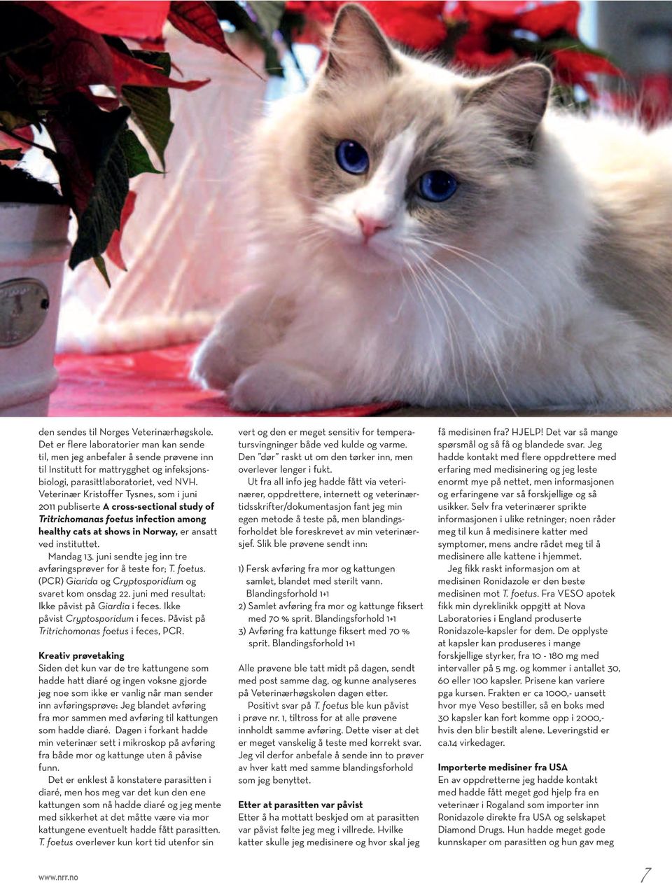 Veterinær Kristoffer Tysnes, som i juni 2011 publiserte A cross-sectional study of Tritrichomanas foetus infection among healthy cats at shows in Norway, er ansatt ved instituttet. Mandag 13.