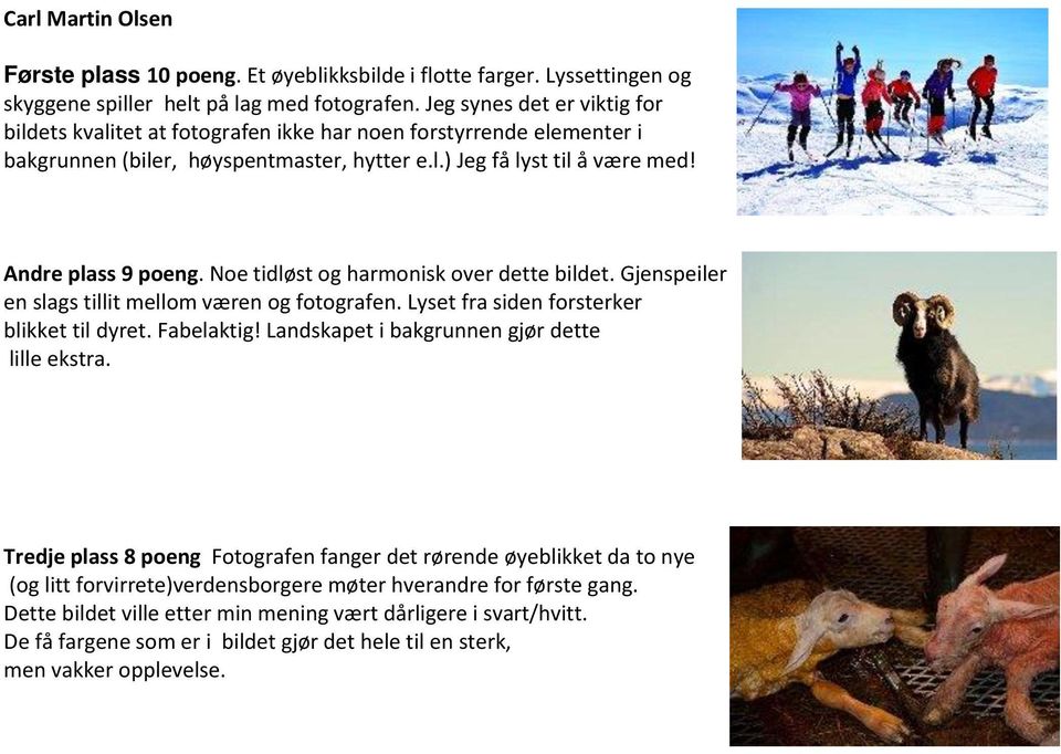 Noe tidløst og harmonisk over dette bildet. Gjenspeiler en slags tillit mellom væren og fotografen. Lyset fra siden forsterker blikket til dyret. Fabelaktig!