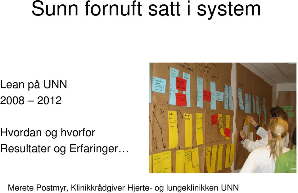 Resultater og Erfaringer Merete