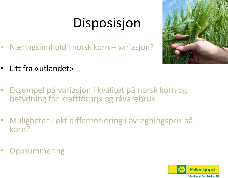 norsk korn og betydning for kraftfôrpris og råvarebruk