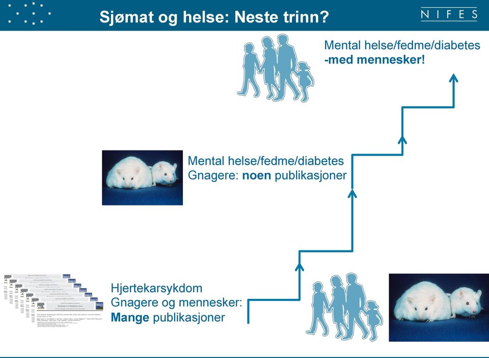 Mental helse/fedme/diabetes Gnagere: noen