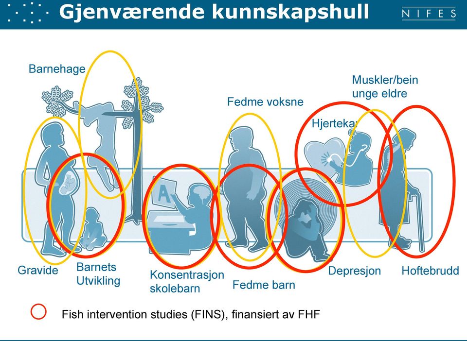 Utvikling Konsentrasjon skolebarn Fedme barn