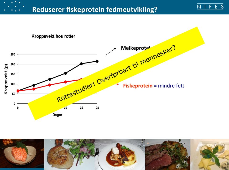 200 150 100 50 Melkeprotein = mer fe+