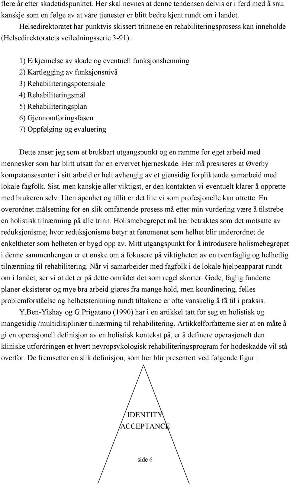 Kartlegging av funksjonsnivå 3) Rehabiliteringspotensiale 4) Rehabiliteringsmål 5) Rehabiliteringsplan 6) Gjennomføringsfasen 7) Oppfølging og evaluering Dette anser jeg som et brukbart utgangspunkt