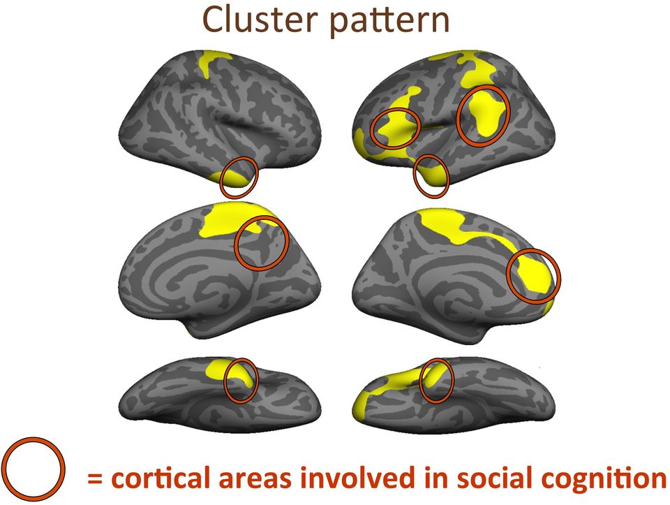 areas involved