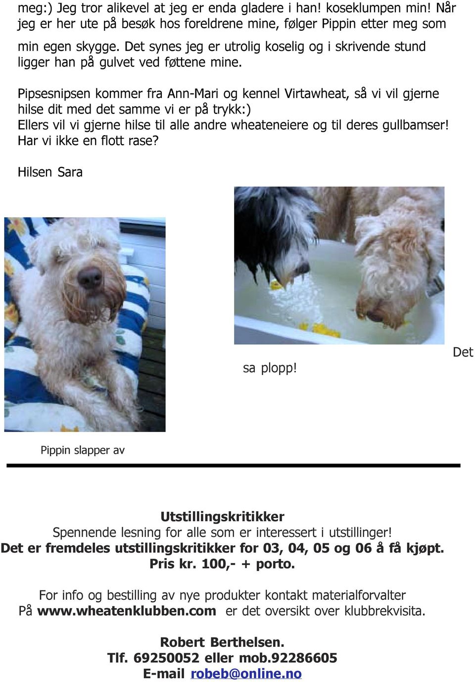 Pipsesnipsen kommer fra Ann-Mari og kennel Virtawheat, så vi vil gjerne hilse dit med det samme vi er på trykk:) Ellers vil vi gjerne hilse til alle andre wheateneiere og til deres gullbamser!