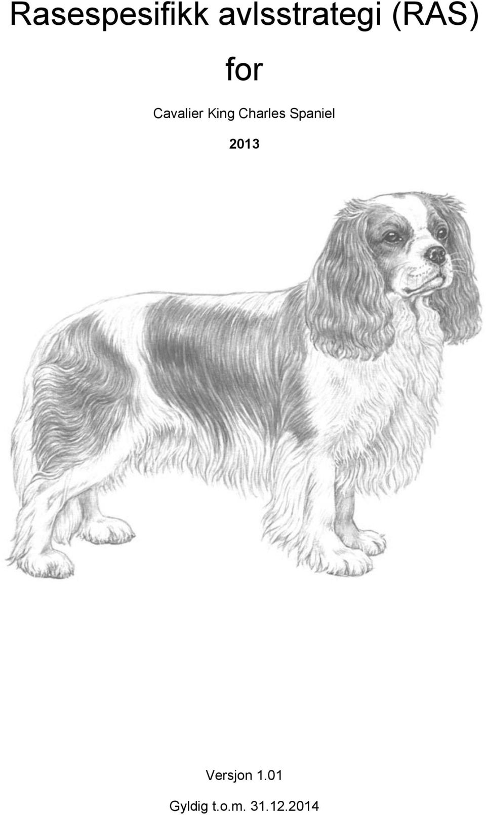 Charles Spaniel 2013