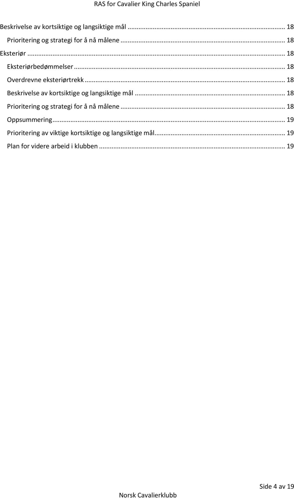 .. 19 Prioritering av viktige kortsiktige og langsiktige mål... 19 Plan for videre arbeid i klubben.