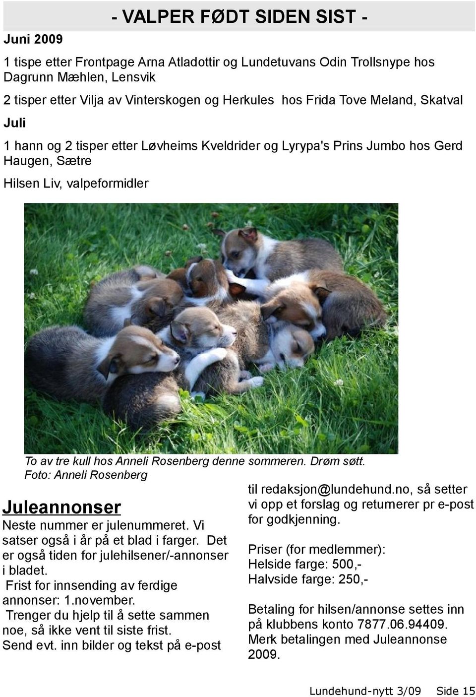 Drøm søtt. Foto: Anneli Rosenberg Juleannonser Neste nummer er julenummeret. Vi satser også i år på et blad i farger. Det er også tiden for julehilsener/-annonser i bladet.