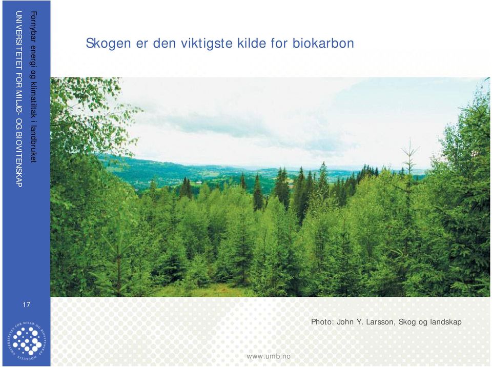 Larsson, Skog og landskap