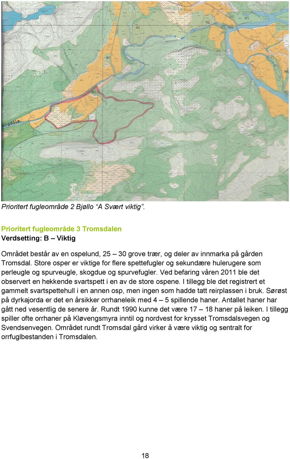 Ved befaring våren 2011 ble det observert en hekkende svartspett i en av de store ospene.