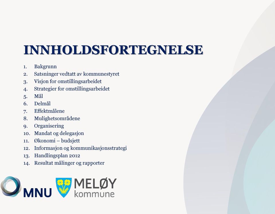 Effektmålene 8. Mulighetsområdene 9. Organisering 10. Mandat og delegasjon 11.