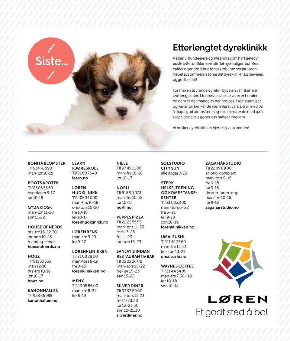 Menneskets beste venn er hunden, og dem er det mange av her hos oss. I alle størrelser og varianter beriker de nærmiljøet vårt.