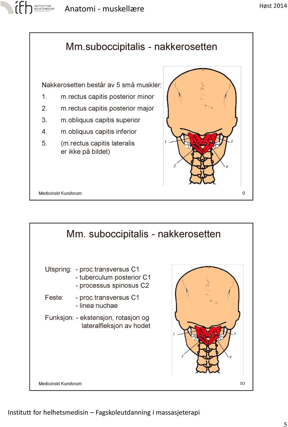 suboccipitalis - nakkerosetten Utspring: - proc.transversus C1 - tuberculum posterior C1 - processus spinosus C2 - proc.