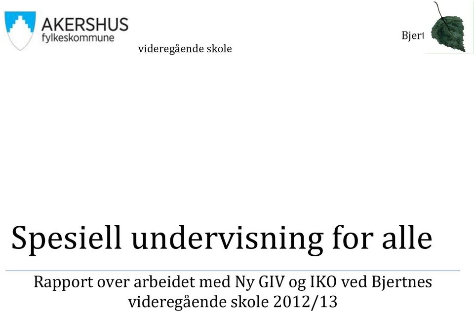 Rapport over arbeidet med Ny GIV