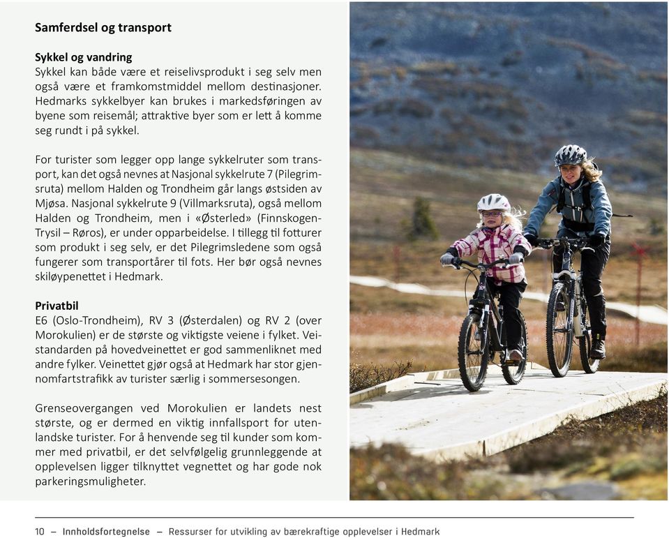 For turister som legger opp lange sykkelruter som transport, kan det også nevnes at Nasjonal sykkelrute 7 (Pilegrimsruta) mellom Halden og Trondheim går langs østsiden av Mjøsa.