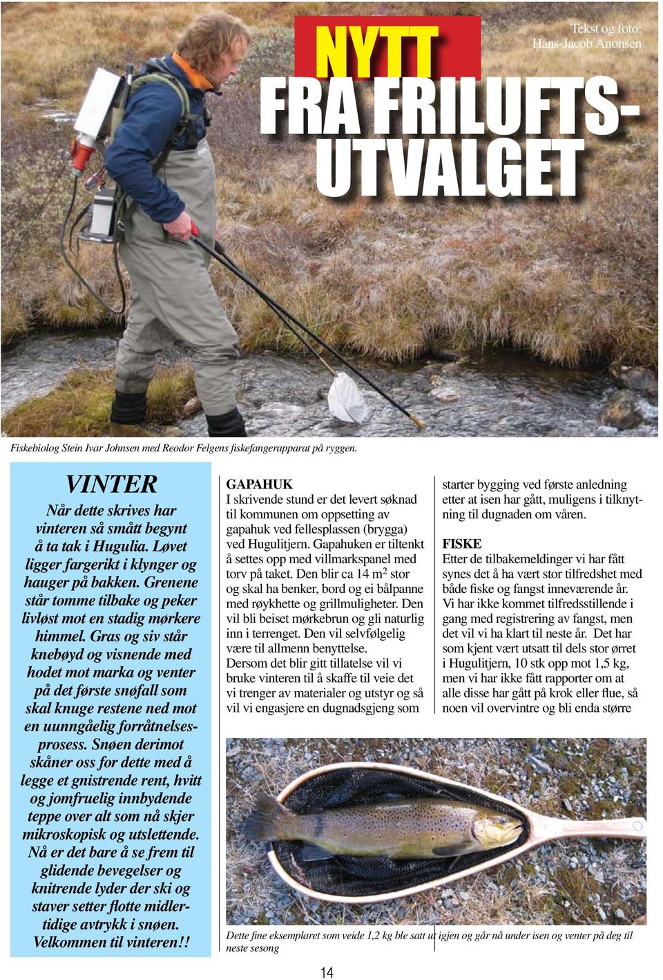 Grenene står tomme tilbake og peker livløst mot en stadig mørkere himmel.