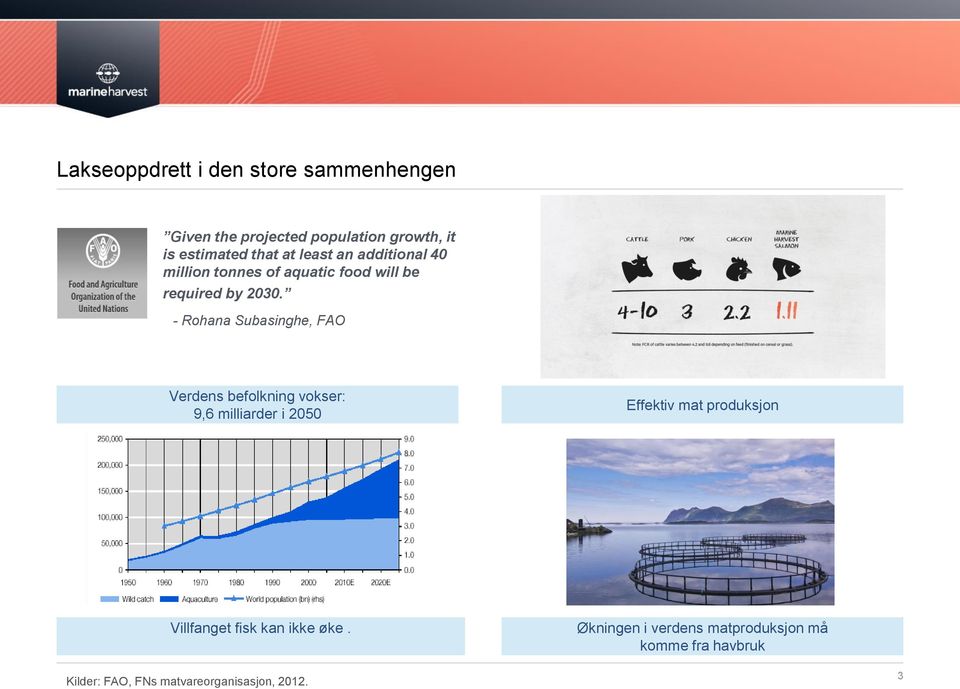 - Rohana Subasinghe, FAO Verdens befolkning vokser: 9,6 milliarder i 2050 Effektiv mat produksjon