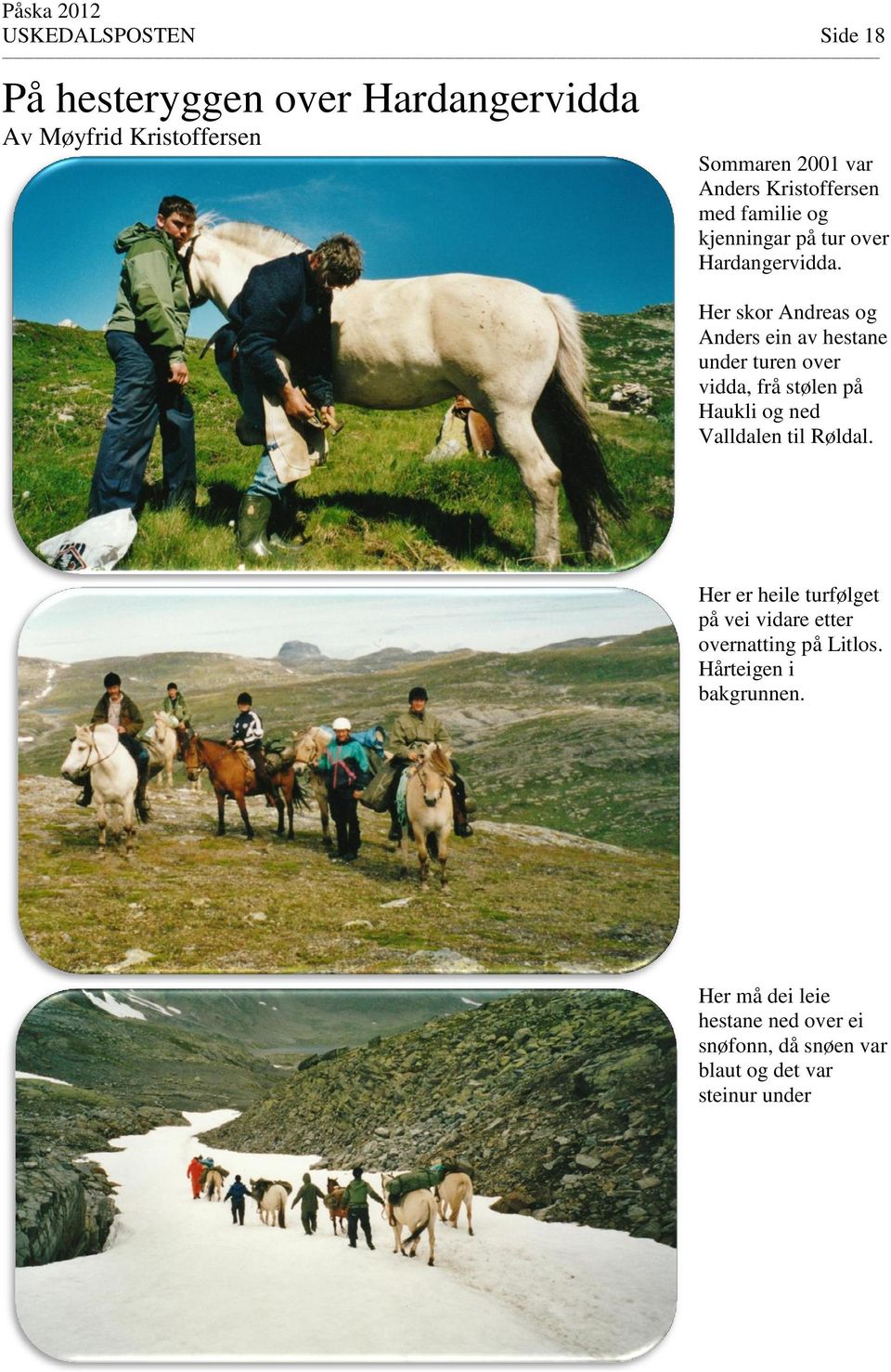 Her skor Andreas og Anders ein av hestane under turen over vidda, frå stølen på Haukli og ned Valldalen til Røldal.
