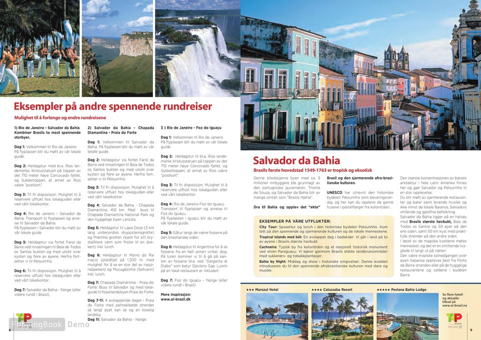 Dag 3: Til fri disposisjon. Mulighet til å reservere utflukt hos lokalguiden eller Dag 4: Rio de Janeiro Salvador da Bahia. Transport til flyplassen og avreise til Salvador da Bahia.