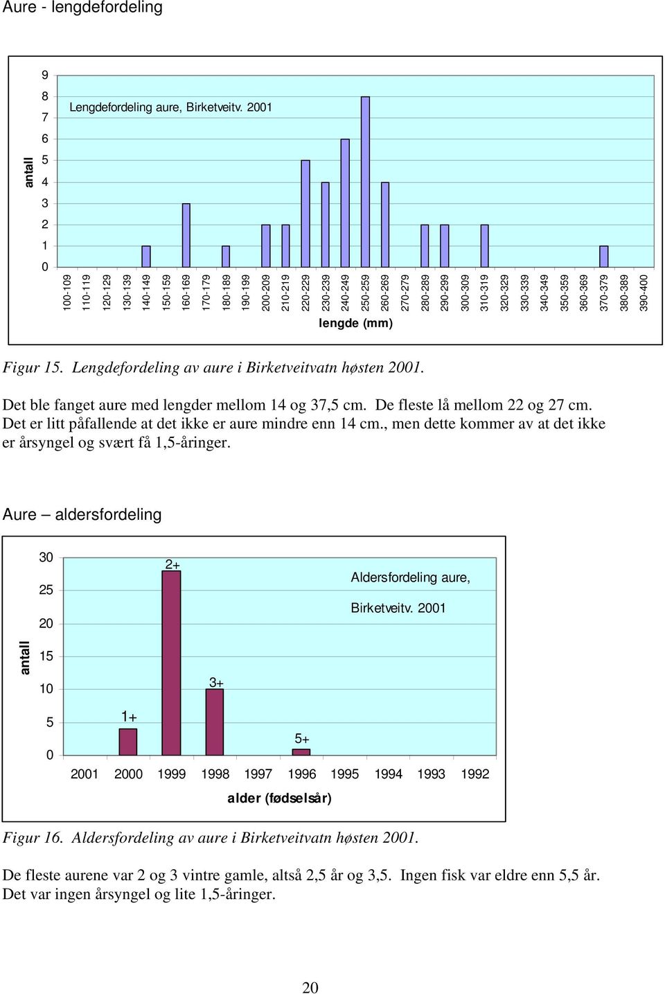 320-329 330-339 340-349 350-359 360-369 370-379 380-389 390-400 antall lengde (mm) Figur 15. Lengdefordeling av aure i Birketveitvatn høsten 2001. Det ble fanget aure med lengder mellom 14 og 37,5 cm.