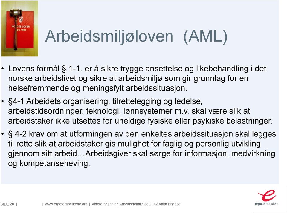 4-1 Arbeidets organisering, tilrettelegging og ledelse, arbeidstidsordninger, teknologi, lønnsystemer m.v.