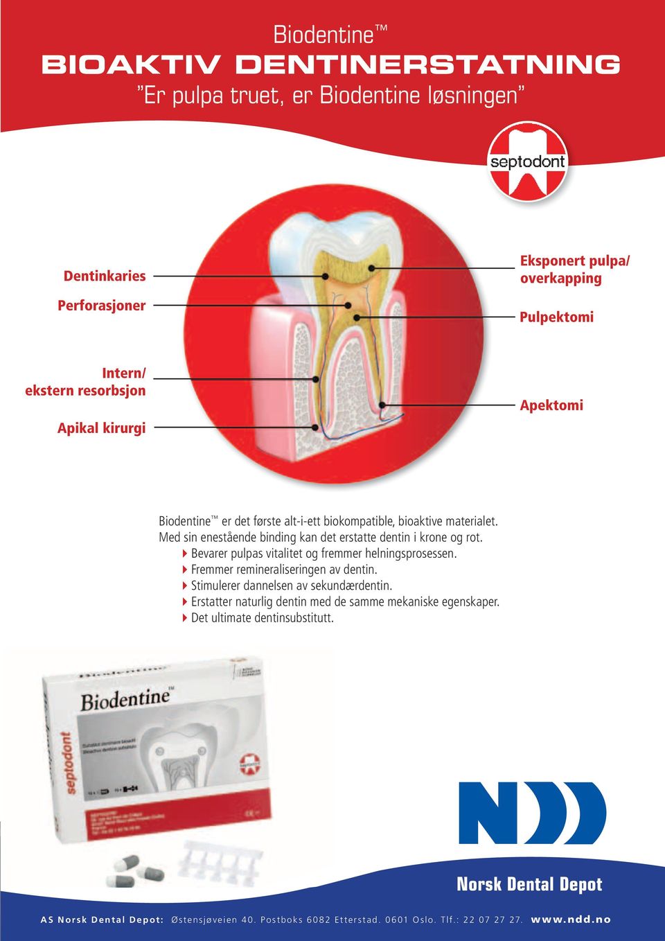 4Bevarer pulpas vitalitet og fremmer helningsprosessen. 4Fremmer remineraliseringen av dentin. 4Stimulerer dannelsen av sekundærdentin.