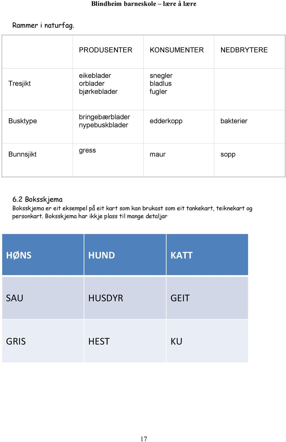 Busktype bringebærblader nypebuskblader edderkopp bakterier Bunnsjikt gress maur sopp 6.