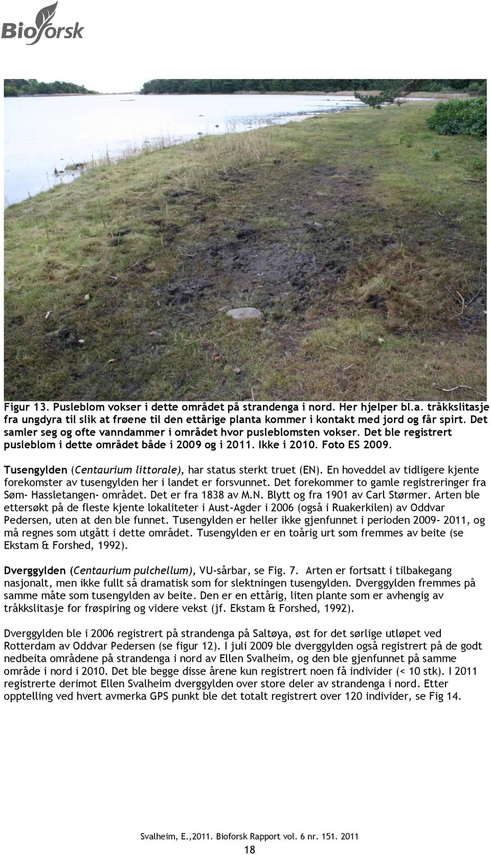 Tusengylden (Centaurium littorale), har status sterkt truet (EN). En hoveddel av tidligere kjente forekomster av tusengylden her i landet er forsvunnet.