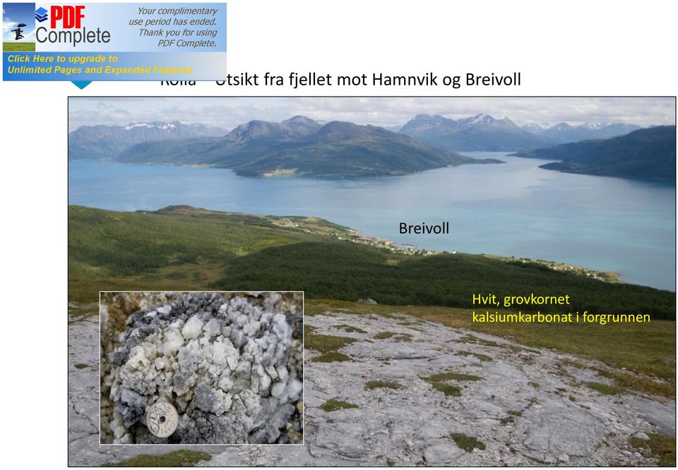 Breivoll Hvit, grovkornet