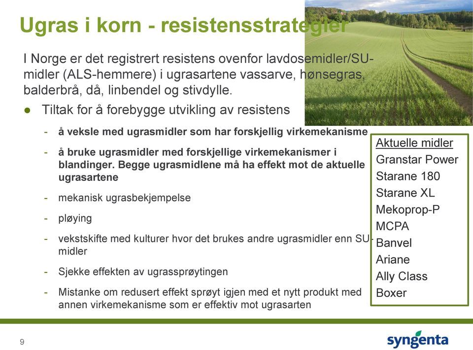 Begge ugrasmidlene må ha effekt mot de aktuelle ugrasartene - mekanisk ugrasbekjempelse - pløying - vekstskifte med kulturer hvor det brukes andre ugrasmidler enn SUmidler - Sjekke effekten av