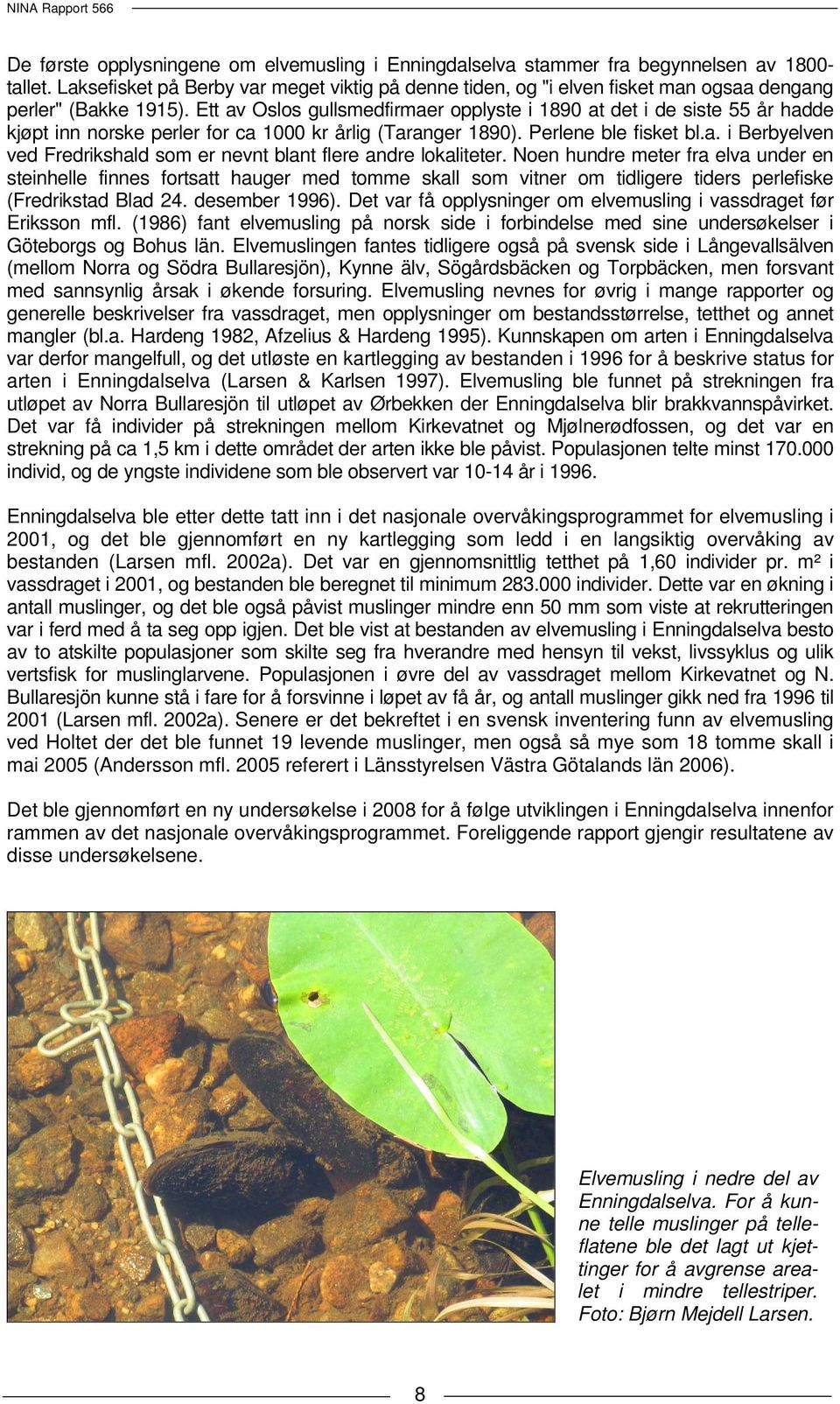 Ett av Oslos gullsmedfirmaer opplyste i 1890 at det i de siste 55 år hadde kjøpt inn norske perler for ca 1000 kr årlig (Taranger 1890). Perlene ble fisket bl.a. i Berbyelven ved Fredrikshald som er nevnt blant flere andre lokaliteter.