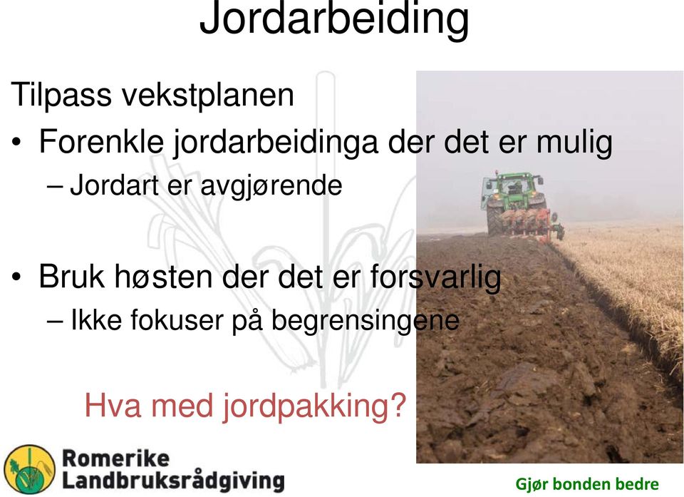 avgjørende Bruk høsten der det er forsvarlig