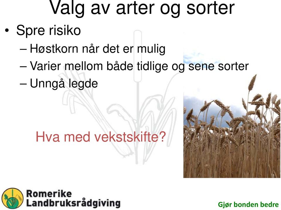 Varier mellom både tidlige og