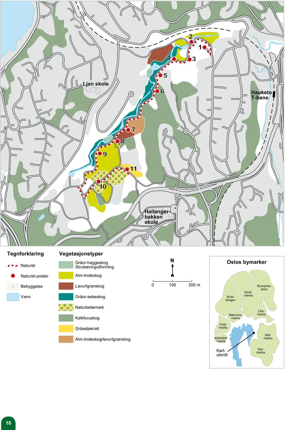 Kalkfuruskog Tegnforklaring Natursti-poster Bebyggelse Vann Vegetasjonstyper Natursti 0 100 200 m Kartutsnitt