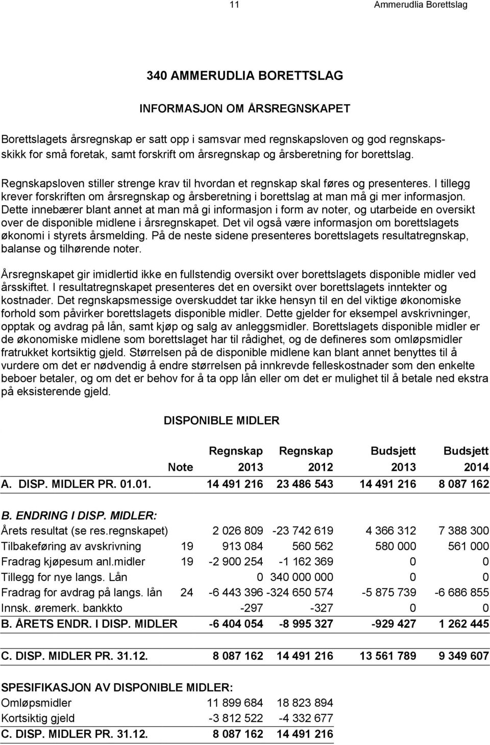 I tillegg krever forskriften om årsregnskap og årsberetning i borettslag at man må gi mer informasjon.