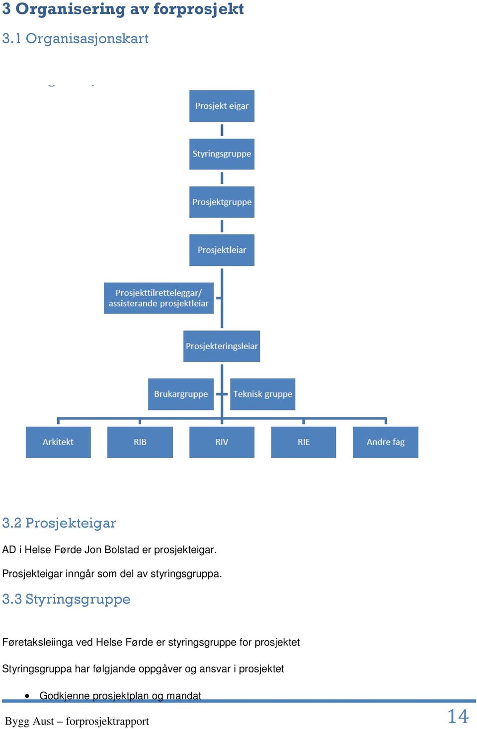 Prosjekteigar inngår som del av styringsgruppa. 3.